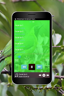 How to download Master Cucak Ijo Ngentrok lastet apk for laptop