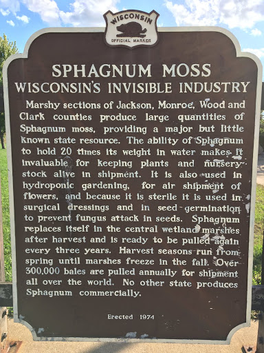 SPHAGNUM MOSS  WISCONSIN'S INVISIBLE INDUSTRY  Marshy sections of Jackson, Monroe, Wood and  Clark countless produce large quantities of  Sphagnum moss, providing a major but little  known state...