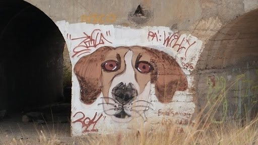 Graffiti Perro