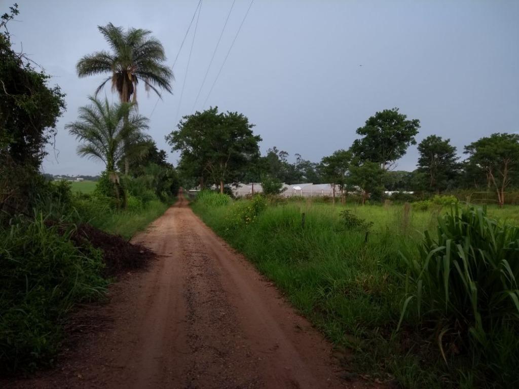 Sítios à venda Guedes