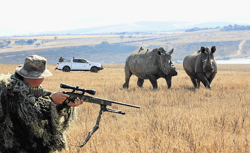 RING OF FIRE: Rhinos at the Tala reserve are protected by armed guards. The animal on the left survived having its horn cut off by poachers