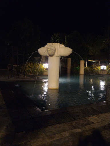 Fish Head Fountain