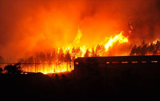 Raging fires in Knysna, South Africa. Image by: Gallo Images / Die Burger / Werner Hills