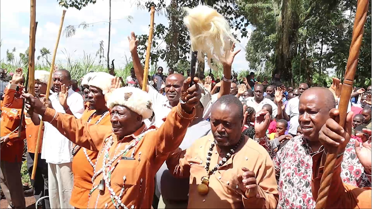 Kikuyu Council of Elders Kiama kia Ma hold prayers at the site where a Mugumo tree fell Monday evening blocking the busy Kanunga- Banana road in Kiambaa subcounty, April 15, 2024.