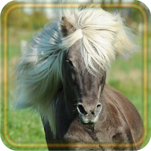 Download Horses Voices For PC Windows and Mac
