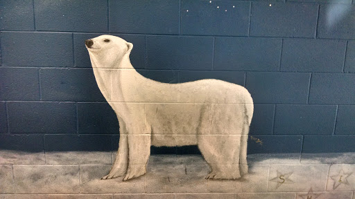 Polar Bear Mural