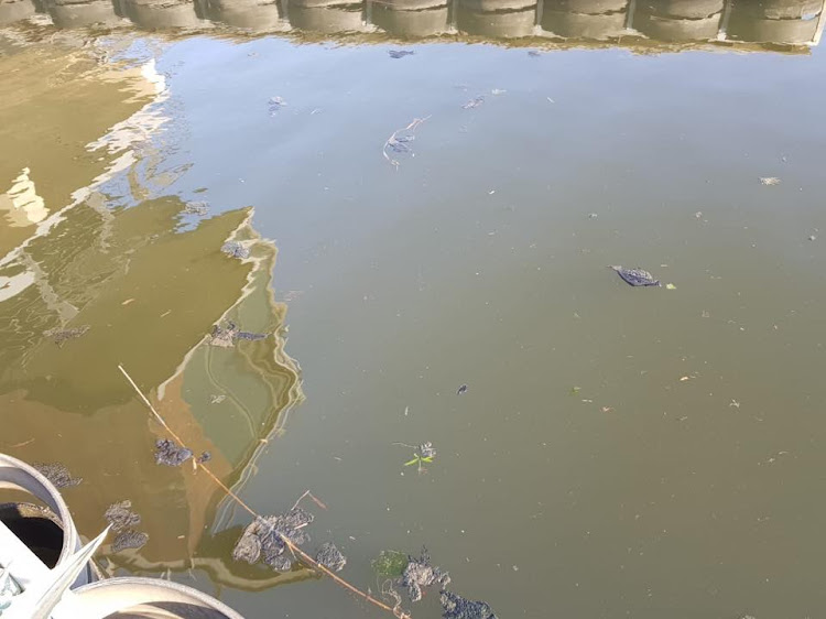 Sewage has been running into the Vaal River for years, but the problem grew worse this year after the cash-strapped local municipality was unable to perform maintenance and infrastructure upgrades.