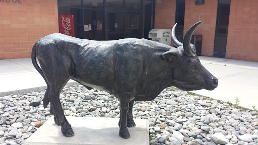 Longhorn Bull Statue