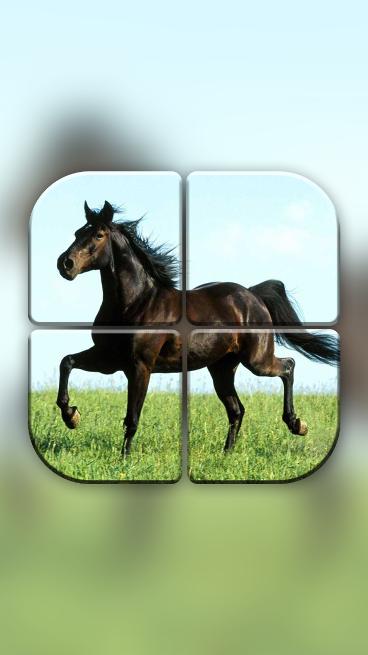 Android application Horse Puzzle Games for Girls screenshort