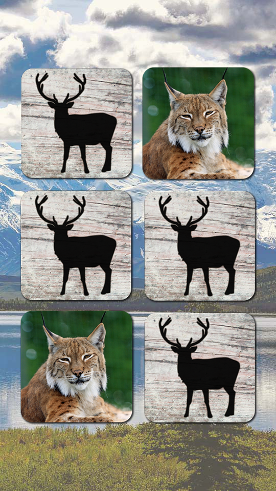 Android application Animal Puzzle Wildlife America screenshort
