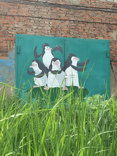 Пингвины Мадагаскара 