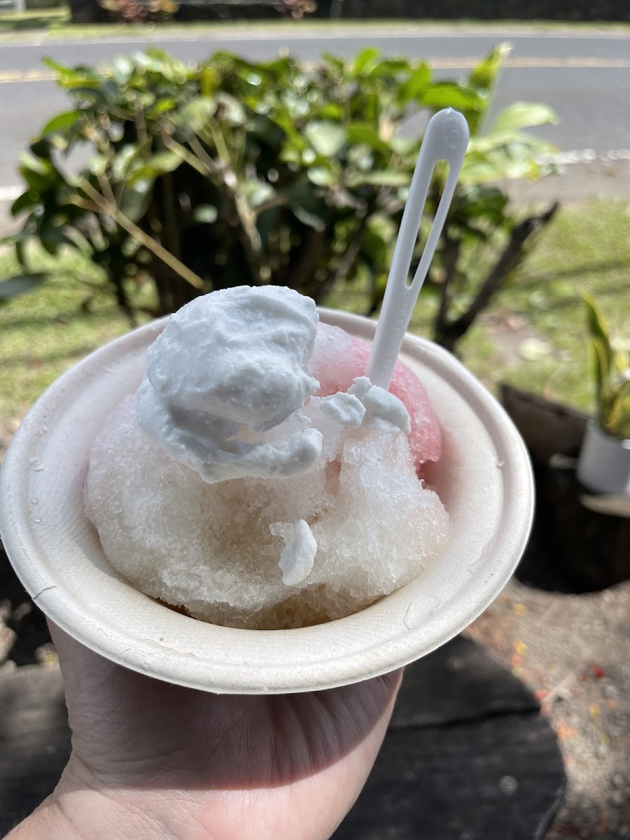 Gluten-Free at Wishing Well Shave Ice