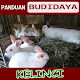 Download Budidaya Kelinci For PC Windows and Mac 1.0.0
