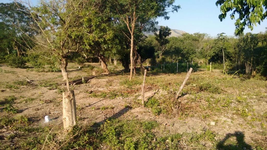 Terrenos à venda Campo Grande