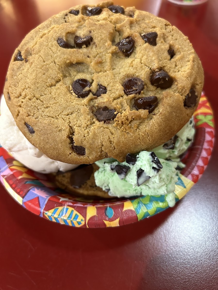 The ice cream cookie sandwich, of course GF too!