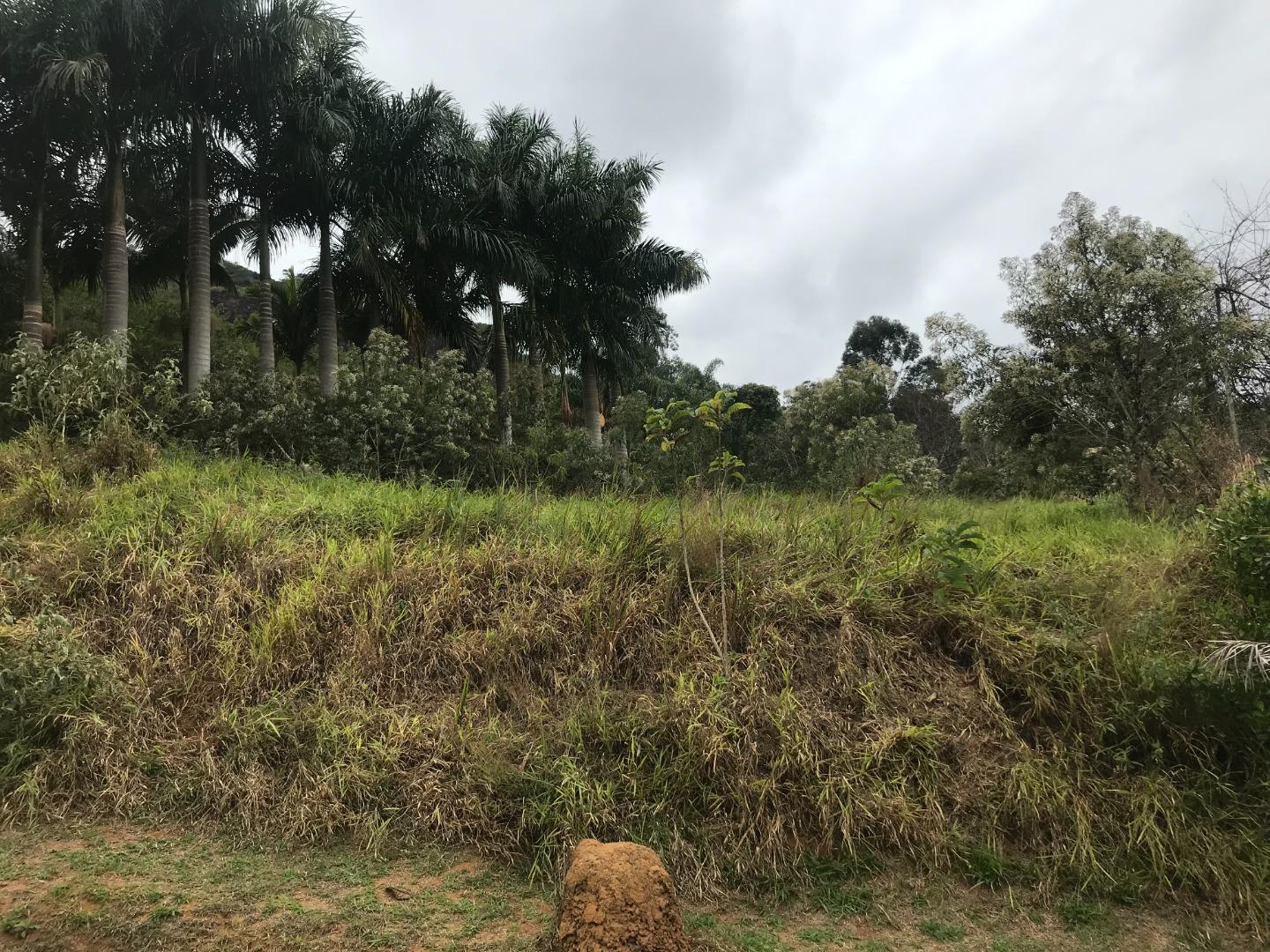 Terrenos à venda Residencial Renascenca