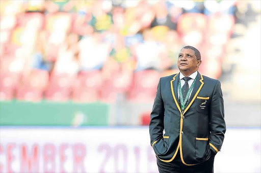 Springboks coach Allister Coetzee