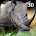 angry wilden Nashorn Angriff3d