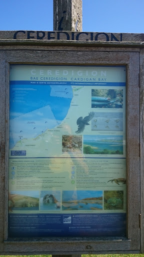 Cardigan Bay 