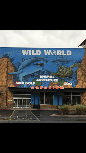 Wild World Aquarium 