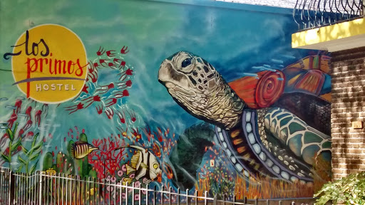 Mural Tortuga