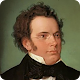 Download Complete Schubert For PC Windows and Mac 2.1a