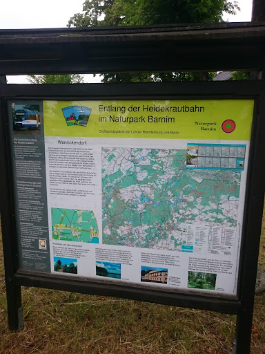 Entlang Der Heidekrautbahn Im Naturpark Barnim