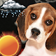 Download Puppy Weather Clock Widget For PC Windows and Mac 1.0