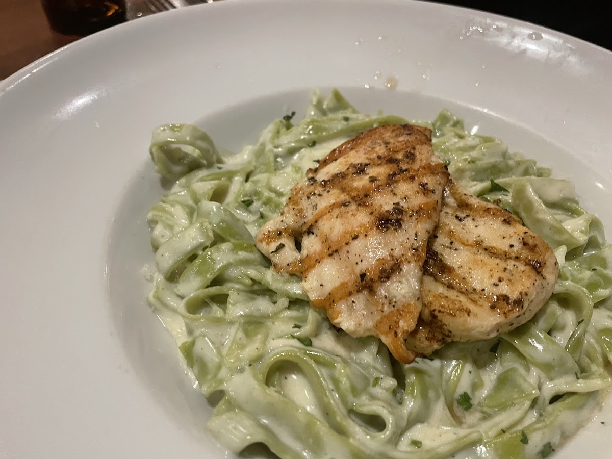 Gf alfredo