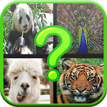 Adivina el Animal en Español Apk