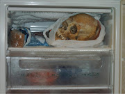 This undated police handout photo made available on November 20, 2012, shows a human skull in a freezer in the apartment of a 37-year-old woman in Gothenburg, southern Sweden. The Swedish woman was charged with possession of human skulls and bones, which the prosecution claimed she used for sexual purposes. The 37 year-old woman kept at least six skulls, one spine and 