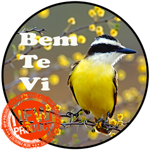 Download Canto Bem te vi For PC Windows and Mac