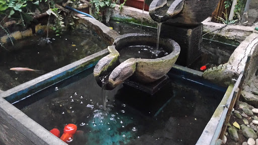 Fish Pond Kampoeng Steak