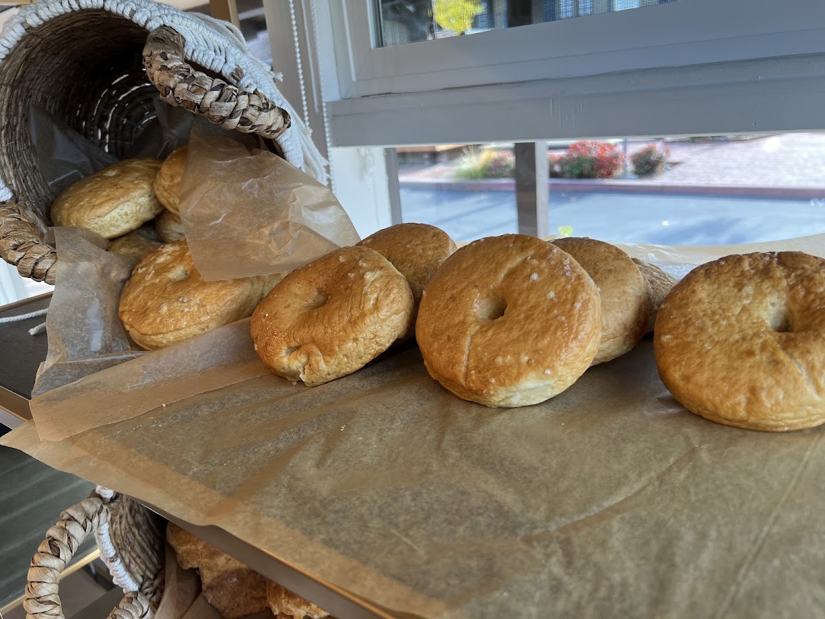 Gluten-Free Bagels at Oy Gluten Free Bakery