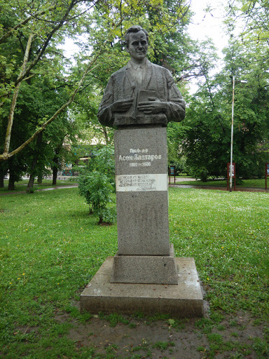 Паметник на проф.Асен Златаров