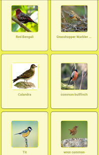 How to mod Bird Sounds patch 0.0.1 apk for pc