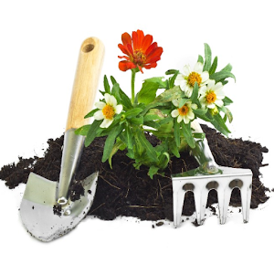 Download Jardines Modernos For PC Windows and Mac