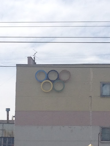 Олимпийские Кольца На Зауральце