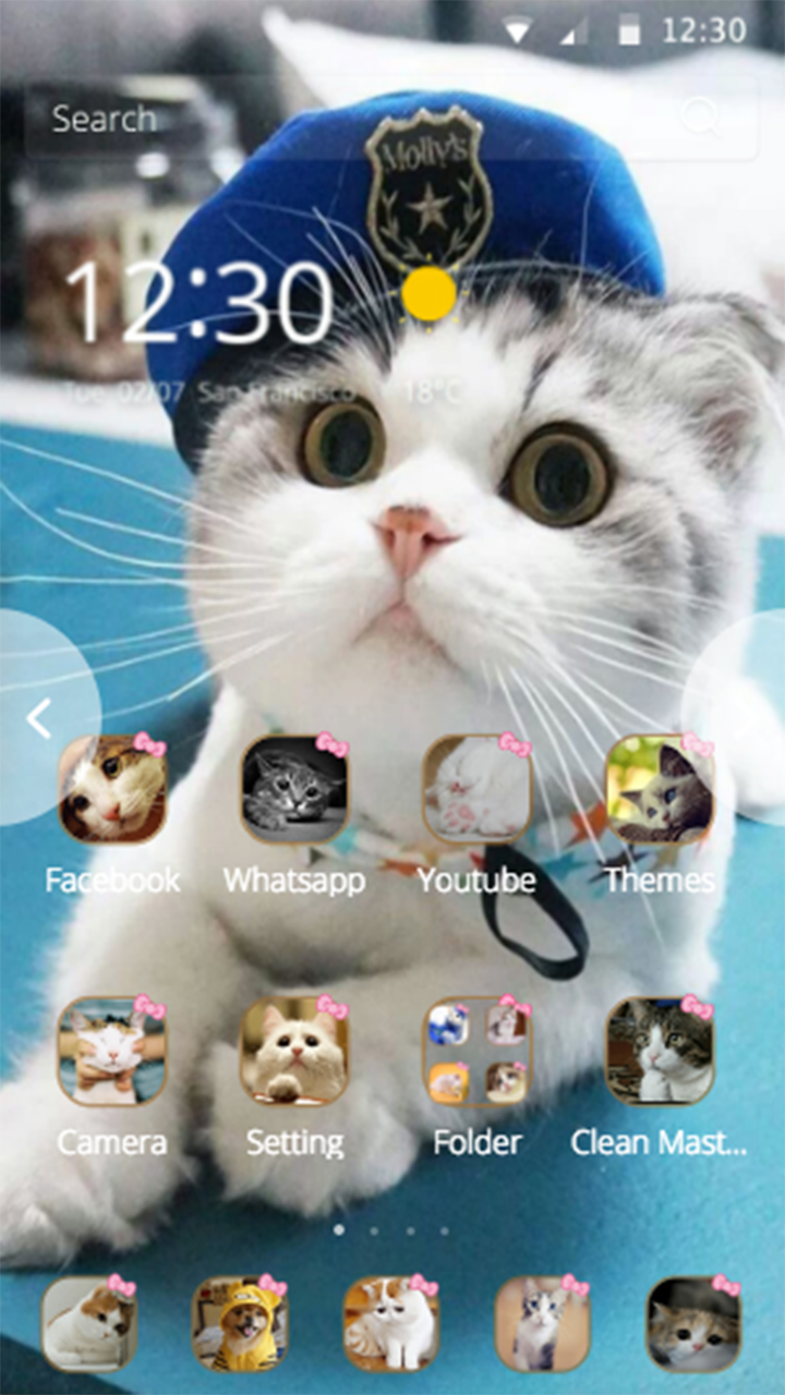 Android application Cat theme-Cute,Adorable,Lazy screenshort