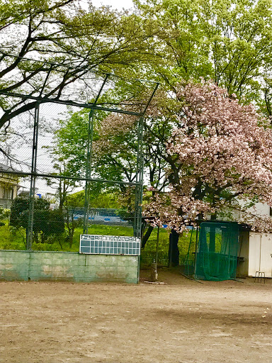 堤下野球場