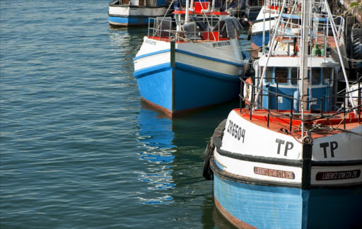 Fishing boats in Cape Town