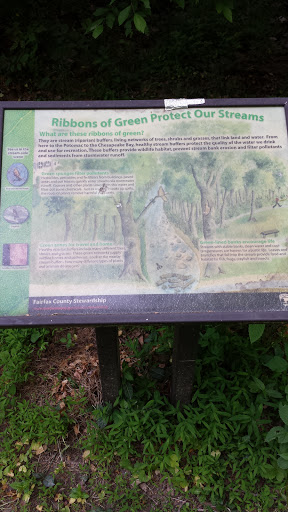 Ribbons of Green Protect Our Streams