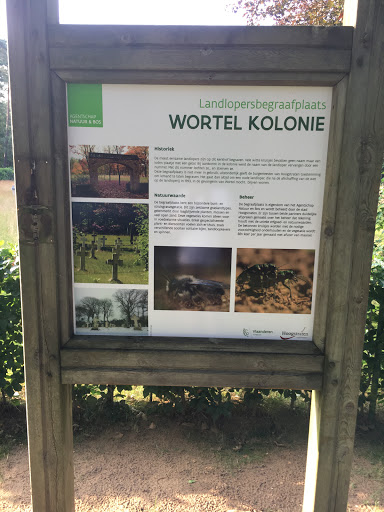 Wortel (B) - Landloperskerkhof