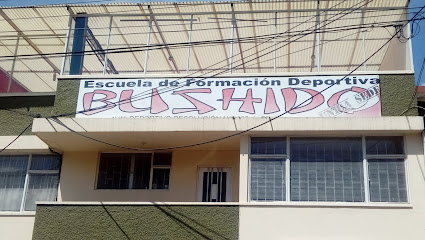 Escuela Bushido Karate Do