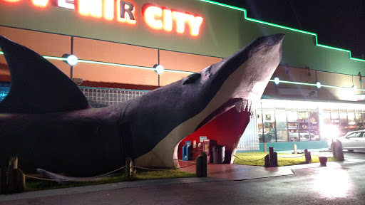 Souvenir City Shark