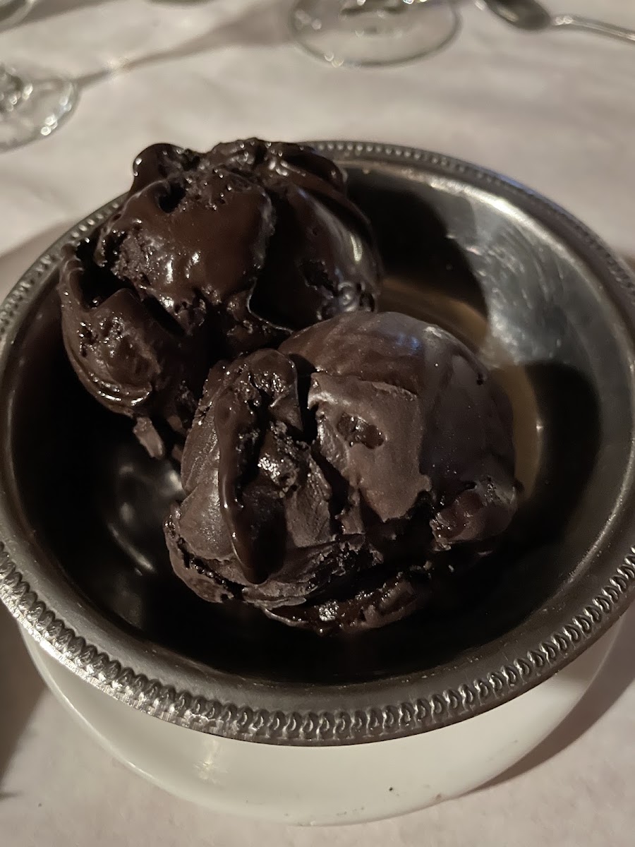 The best dark chocolate gelato I've had in my life. It was so rich and fudgy!