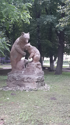 Ведмеді в Комарно