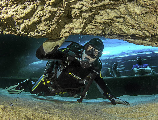 Diving at the Two Oceans Aquarium, Cape Town.