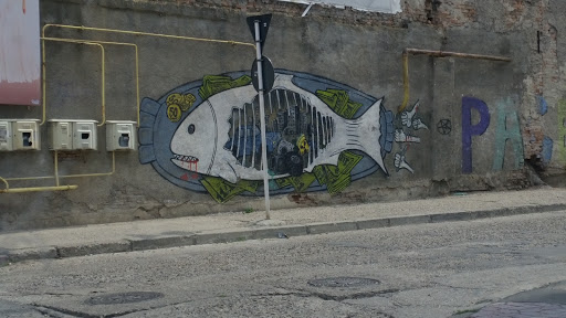 Urban Fish