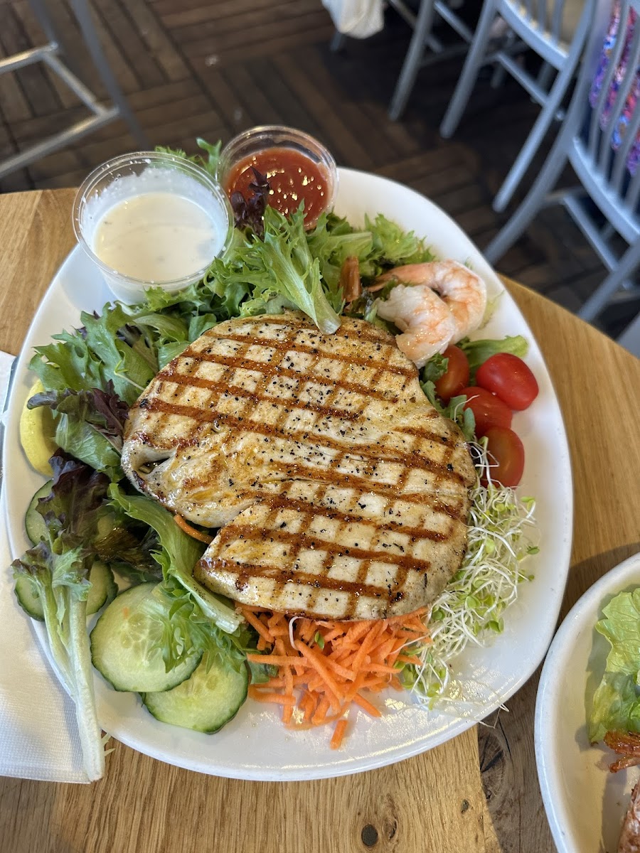 Ono charbroiled on garden salad